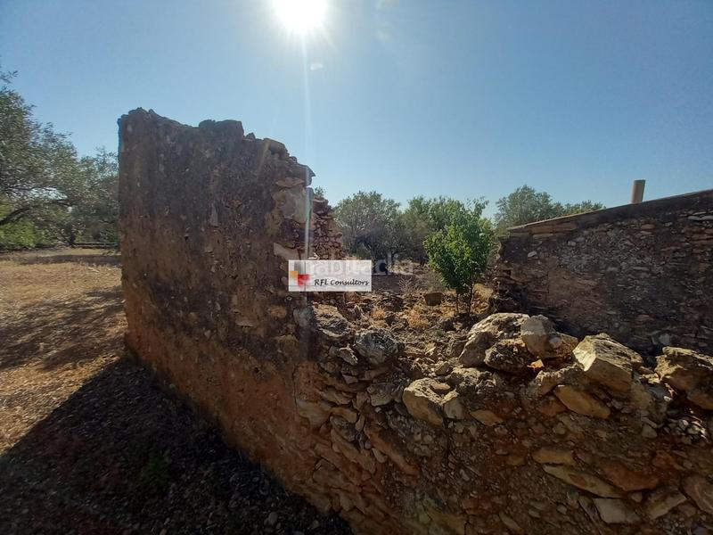 Foto 4ab7b844-944b-4602-a8f5-c9c30b0cbd38. Rural plot in Ampolla (L´)