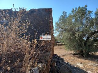 Finca rústica a Ampolla (L´). Finca rústica de dos hectareas y media a la venta en lampolla