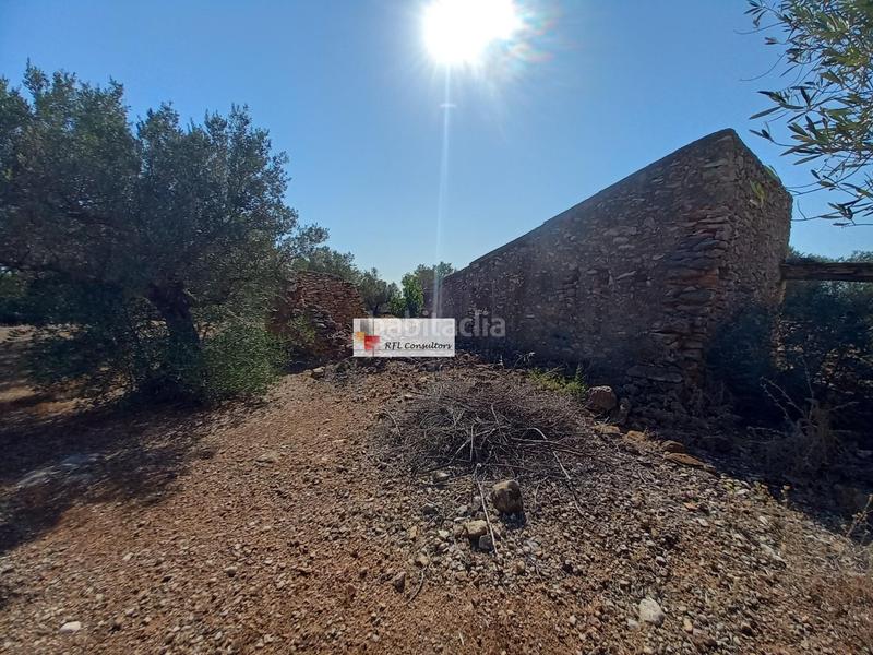 Foto 4b08de5c-93f7-4f41-901e-45c3d28e90af. Rural plot in Ampolla (L´)