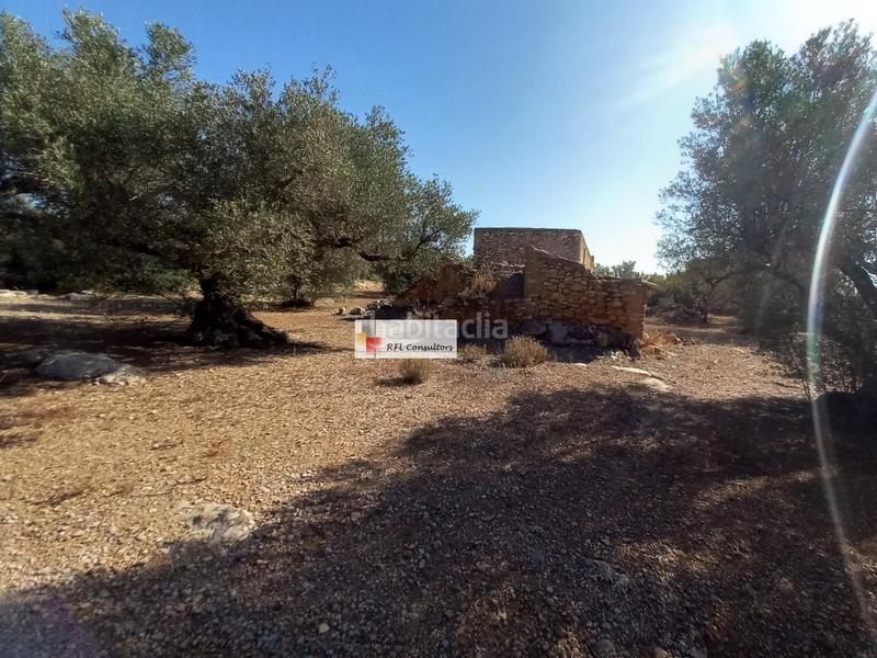 Foto 645e33b6-d259-43d6-83aa-85d08951c5b1. Rural plot in Ampolla (L´)