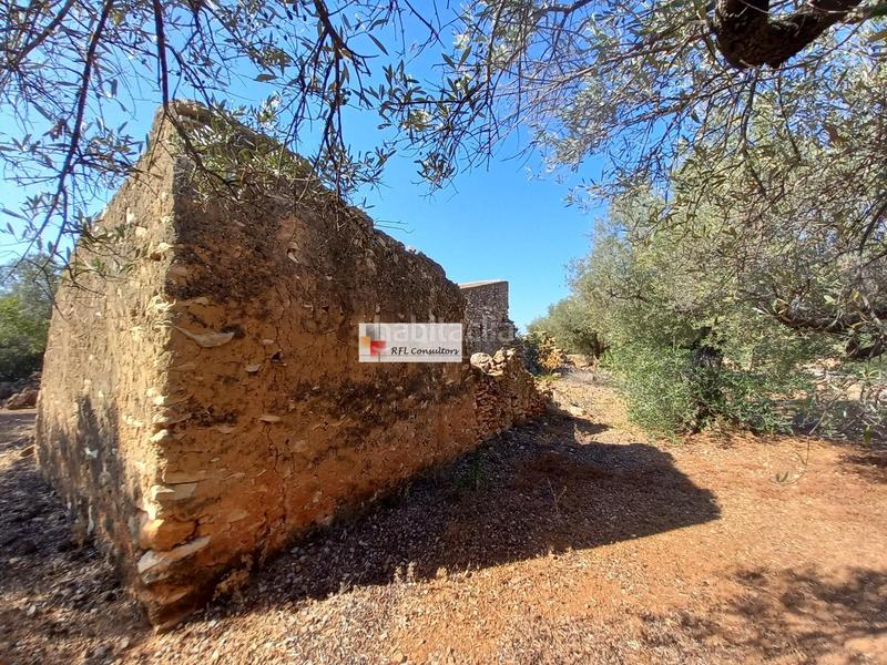 Foto 7083f18a-5a97-45bd-87de-03407e8d1125. Rural plot in Ampolla (L´)