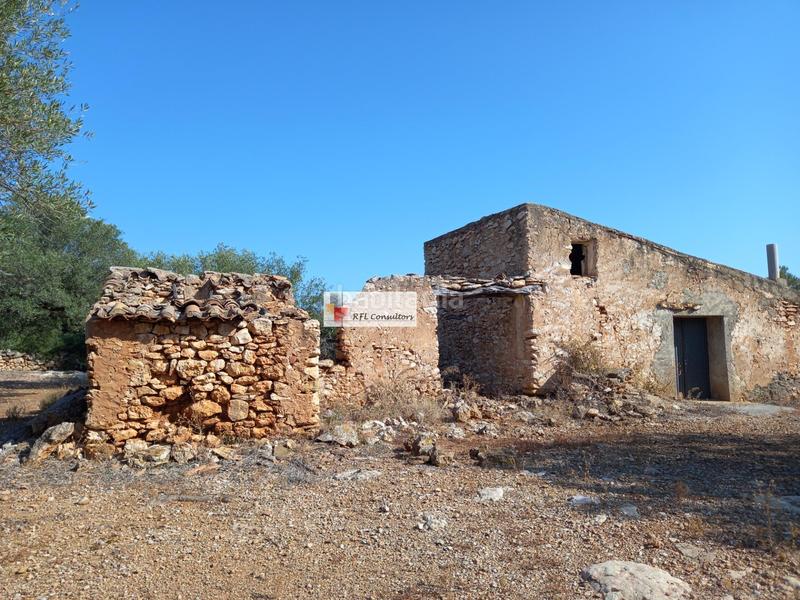 Foto 721fc4fd-51f0-4eb8-9569-fb8954df8a84. Rural plot in Ampolla (L´)