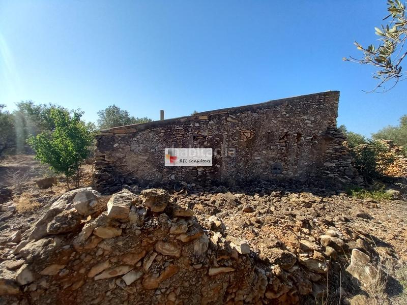 Foto 77e2e925-732b-4e42-9aad-ee84237d1e39. Rural plot in Ampolla (L´)