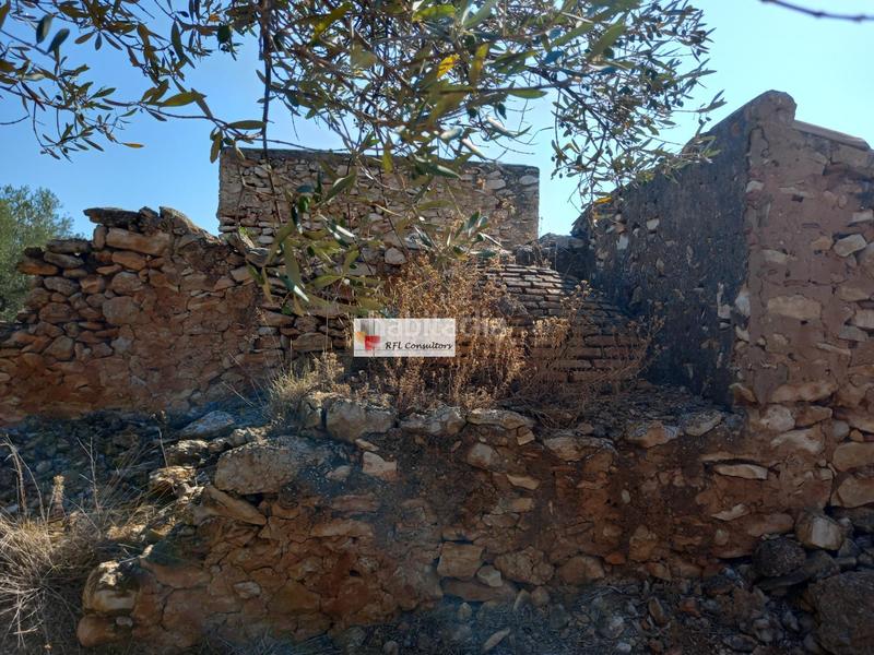 Foto 7b4dd1f3-25ee-48e5-9abb-18f5420042d1. Rural plot in Ampolla (L´)