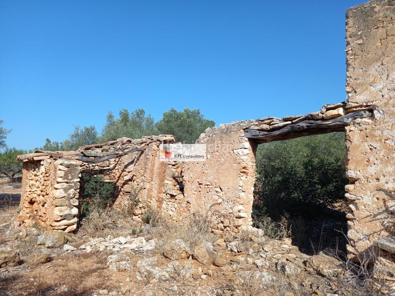 Foto 7dce1025-0791-4d16-a7e1-ab9d89fbcd99. Rural plot in Ampolla (L´)