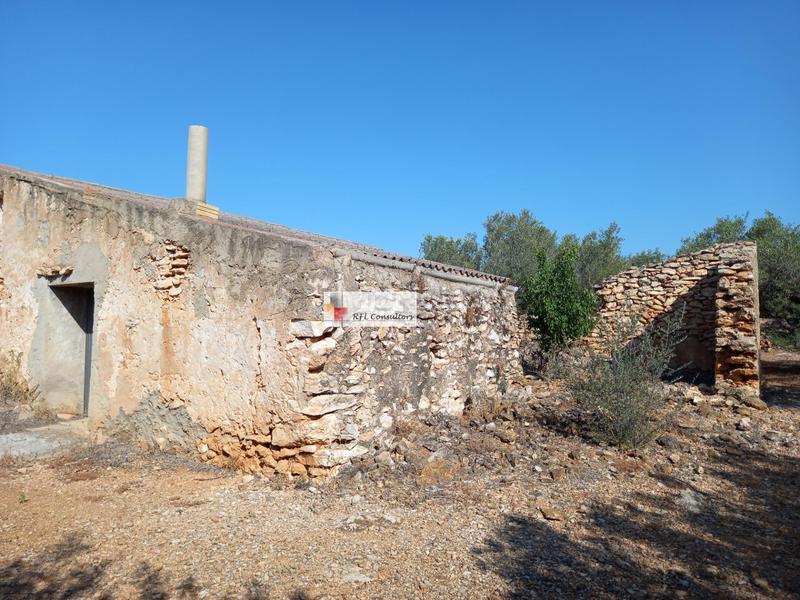 Foto 8542d3e2-f5b9-4792-a74d-34333dc5d6f6. Rural plot in Ampolla (L´)