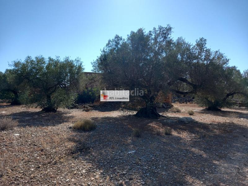 Foto 86e84b2f-6412-41f4-813d-4e781227266d. Rural plot in Ampolla (L´)