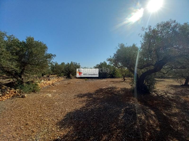 Foto 8d226725-5149-4b88-bd3e-6c4e91629b0a. Rural plot in Ampolla (L´)