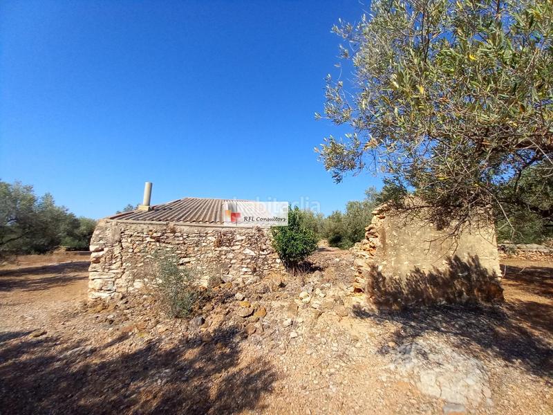 Foto b1de9f68-b268-4584-8e53-a209c903662e. Rural plot in Ampolla (L´)
