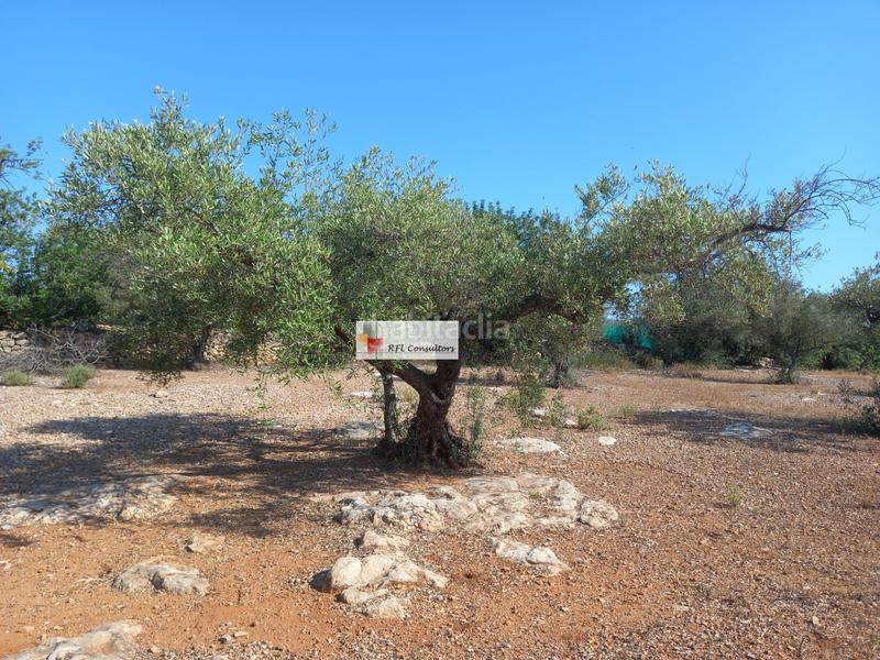 Foto c05f5079-69ae-42a6-ac40-03c8a62d8fcb. Rural plot in Ampolla (L´)