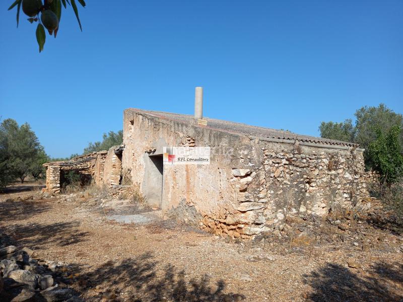 Foto c9ca46d2-3dd8-428e-bfe5-efffa98a66f7. Rural plot in Ampolla (L´)