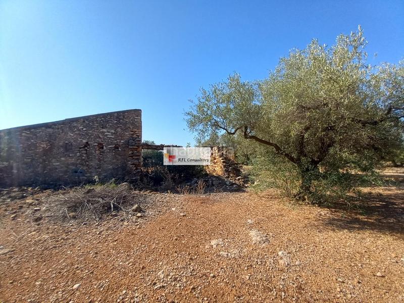 Foto d620d41b-f0fb-49ea-9eac-391d7be63881. Rural plot in Ampolla (L´)