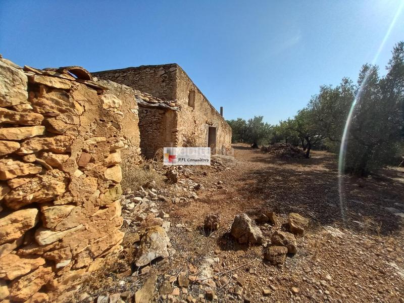 Foto de3642dd-84de-4edf-badc-6900699c65c6. Rural plot in Ampolla (L´)