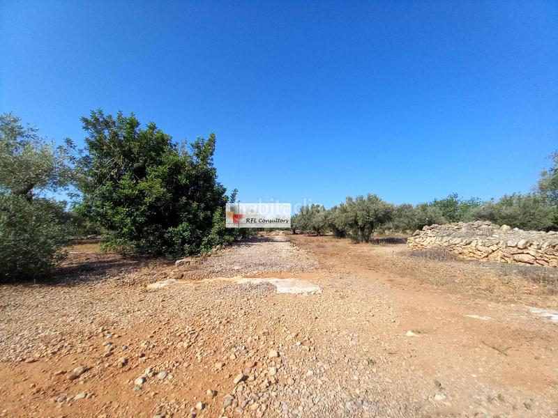 Foto e7d32427-c739-4d94-ab4e-ba5b2dcd13f9. Rural plot in Ampolla (L´)