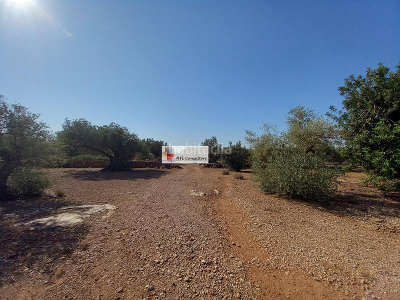 Foto eaee9d3e-bff0-46c6-8341-acfd038293d3. Rural plot in Ampolla (L´)