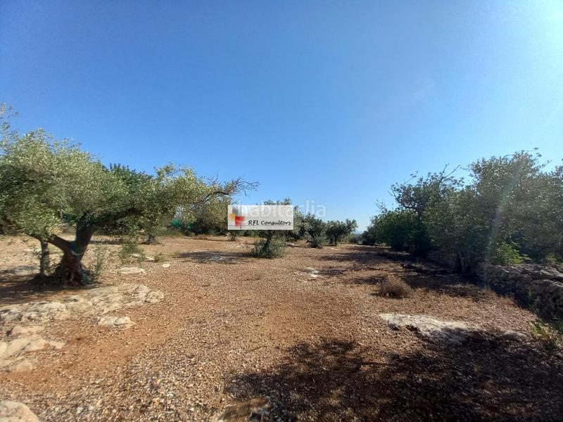 Foto ebac5eca-ef7b-444f-8f9a-8aba2e76a6c7. Rural plot in Ampolla (L´)