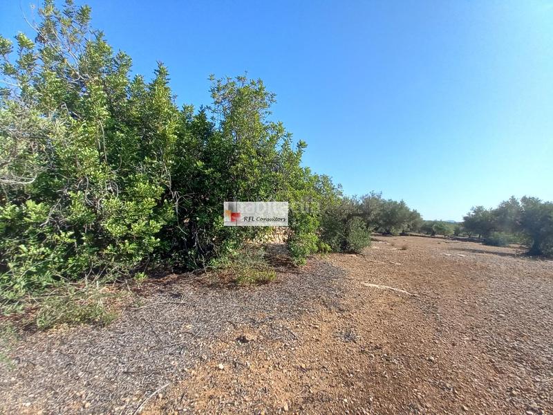 Foto eef9cd65-7675-4096-9a00-70f12048f4b2. Rural plot in Ampolla (L´)