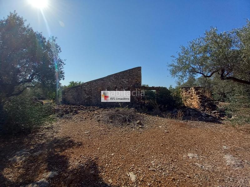 Foto f4e2949f-dc90-4398-b95c-56686a33835b. Rural plot in Ampolla (L´)