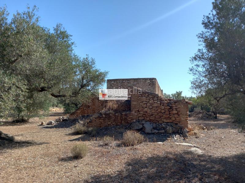 Foto f6b7277b-d9b1-414a-98ec-54d50bf98a7e. Rural plot in Ampolla (L´)