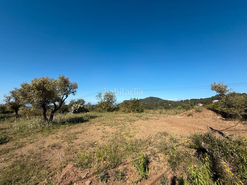 Foto 11ce4ab2-0a73-4d1e-8052-097ea5151c79. Terreny residencial a carrer dels roures 11 a Castellvell del Camp
