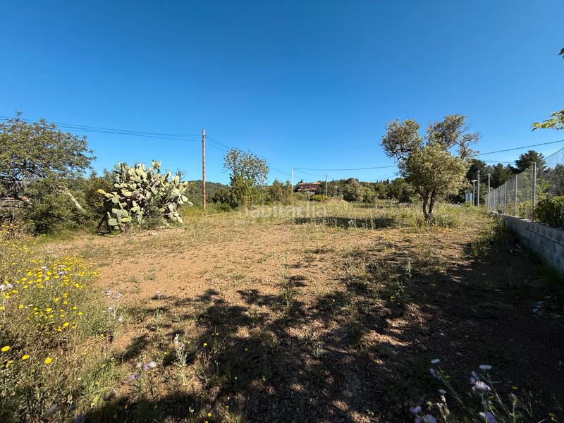 Foto 2d8a914d-6a91-486b-9e77-053489580962. Terreny residencial a carrer dels roures 11 a Castellvell del Camp