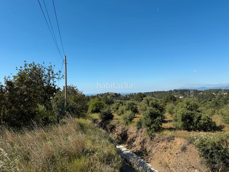 Foto 326092ff-9abe-46eb-b2ea-0467ad623dc0. Terreny residencial a carrer dels roures 11 a Castellvell del Camp
