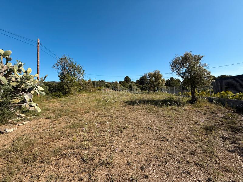 Foto 5a6b77ce-c03a-4e39-bee1-718346979584. Terreny residencial a carrer dels roures 11 a Castellvell del Camp