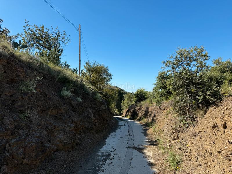 Foto 7318181d-1268-4d57-8c9e-eb8e73362470. Terreny residencial a carrer dels roures 11 a Castellvell del Camp
