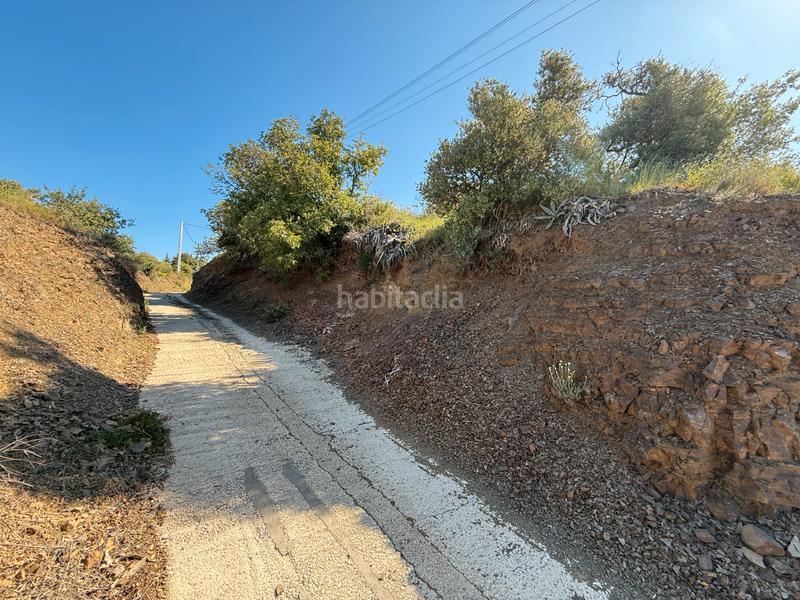 Foto a8b16aee-5a12-44d4-874d-0632defa169b. Terreny residencial a carrer dels roures 11 a Castellvell del Camp