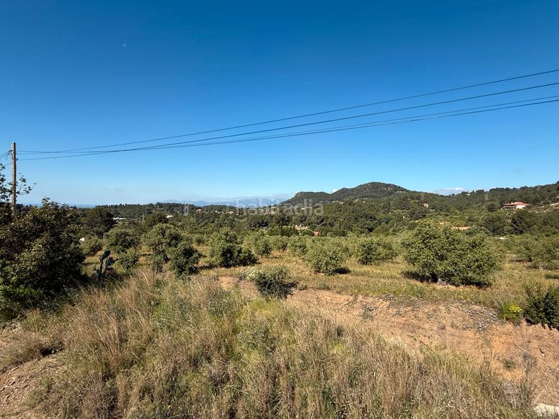 Foto d8adea38-5b22-43b1-8eb1-77cba90f483d. Terreny residencial a carrer dels roures 11 a Castellvell del Camp