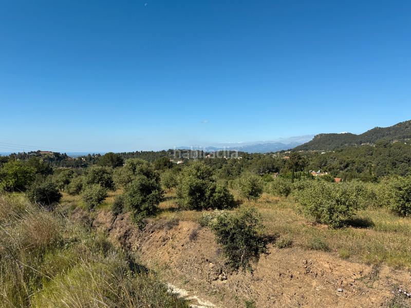 Foto ece35171-30f4-4a2d-8740-0896b7cdcb75. Terreny residencial a carrer dels roures 11 a Castellvell del Camp