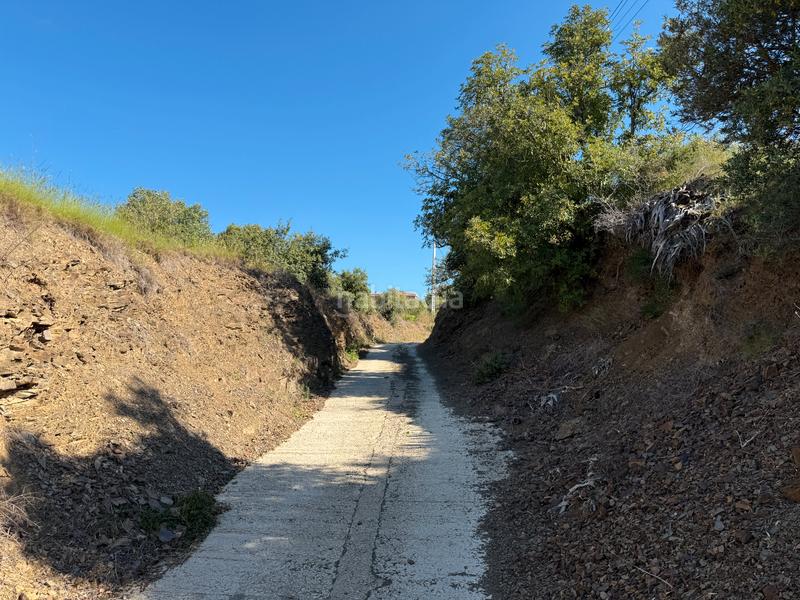 Foto ef2048ae-5e8a-45a1-b617-7c30c092a51c. Terreny residencial a carrer dels roures 11 a Castellvell del Camp