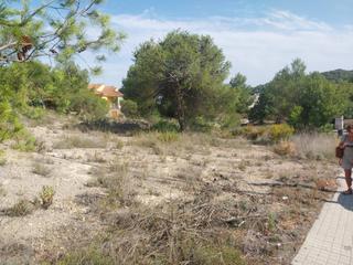 Terreny residencial en Calle cinco 8. Espectacular