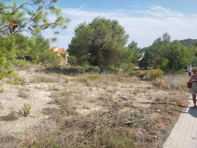 Foto b8694b79-9bf1-49f3-8214-7c0f5ca18bcc. Terreno residenziale in calle cinco 8 in Casinos