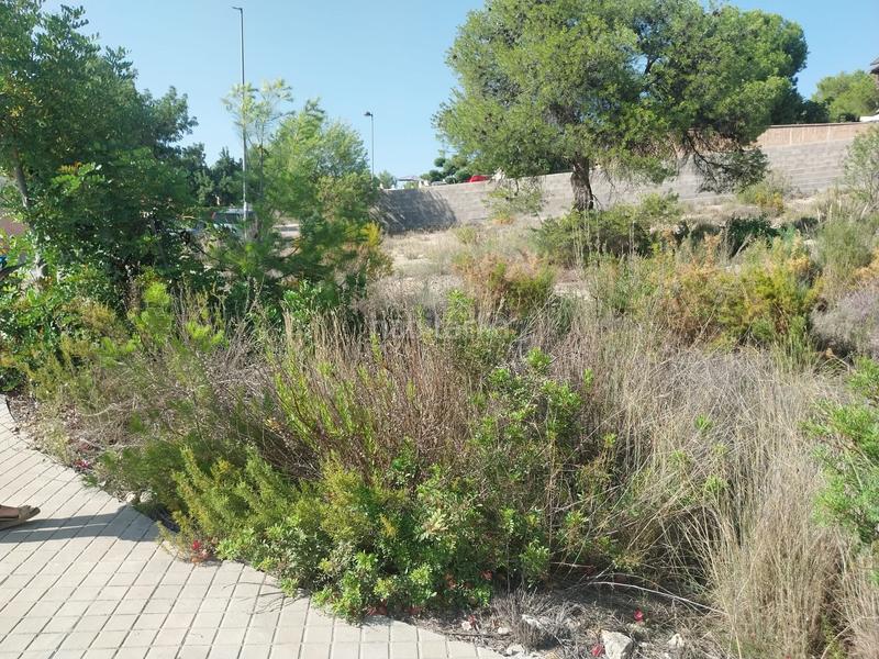 Foto da5b642e-f0fc-4724-8276-4e91d3ebcc8d. Terreno residenziale in calle cinco 8 in Casinos