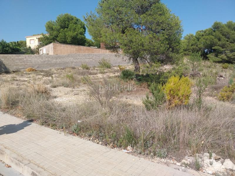 Foto dd594b7b-8bff-400b-ac4f-e3b36f5a7da3. Terreno residenziale in calle cinco 8 in Casinos