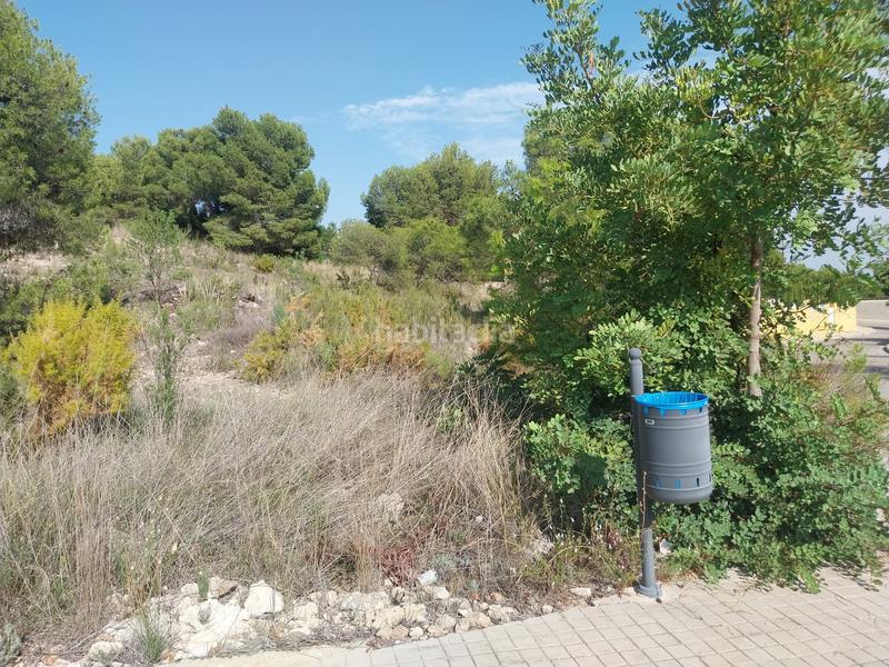 Foto dfc94662-637c-4add-85ea-00335f76a3d4. Terreno residenziale in calle cinco 8 in Casinos