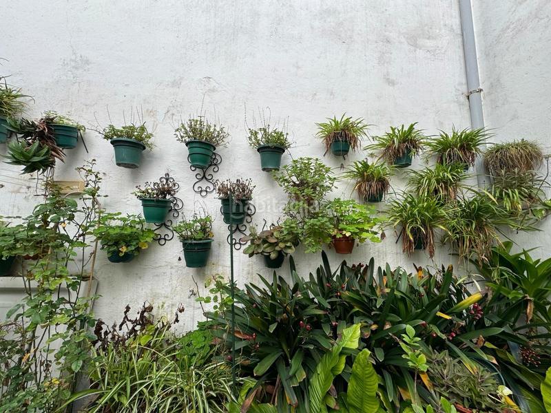 Foto 23701b6e-c88e-4927-ba61-3590df554d84. Casa in calle de las cabezas 7 in casco histórico - ribera - san basilio Córdoba