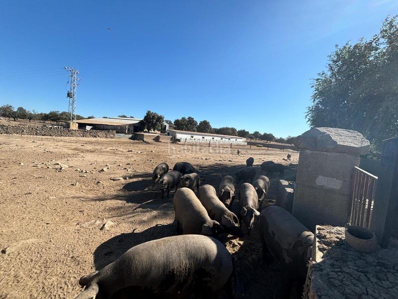 Foto 30febe52-4314-4522-8cc4-bb0ad49f7aa6. Finca rústica venta de finca agrícola y ganadera! en Pozoblanco