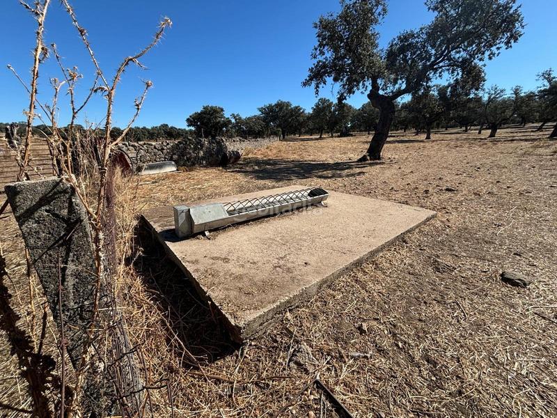 Foto c938ab5d-8d36-49eb-88cb-56eae54c3ac4. Finca rústica venta de finca agrícola y ganadera! en Pozoblanco