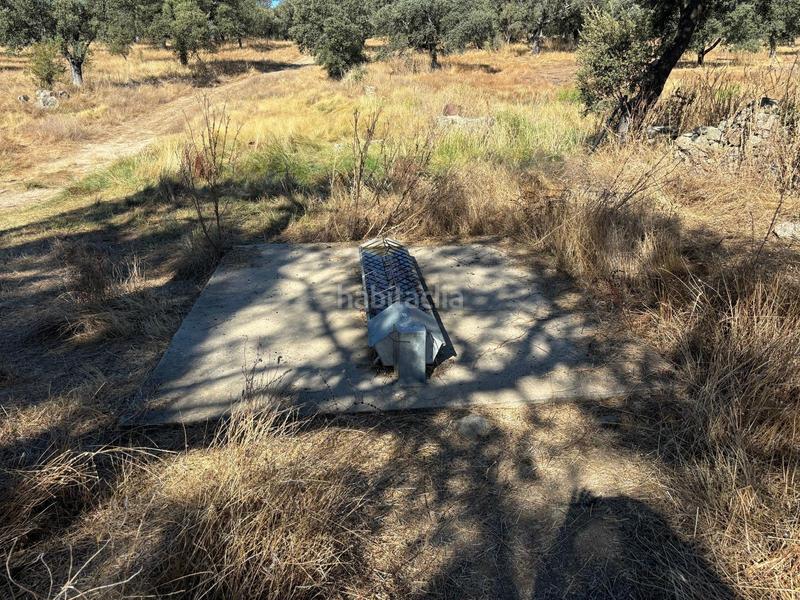 Foto ff180876-8d74-49e5-97db-9c1a550472de. Finca rústica venta de finca agrícola y ganadera! en Pozoblanco
