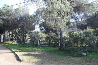 Terreny residencial a Camino campamento 23. Parcela en cerro muriano
