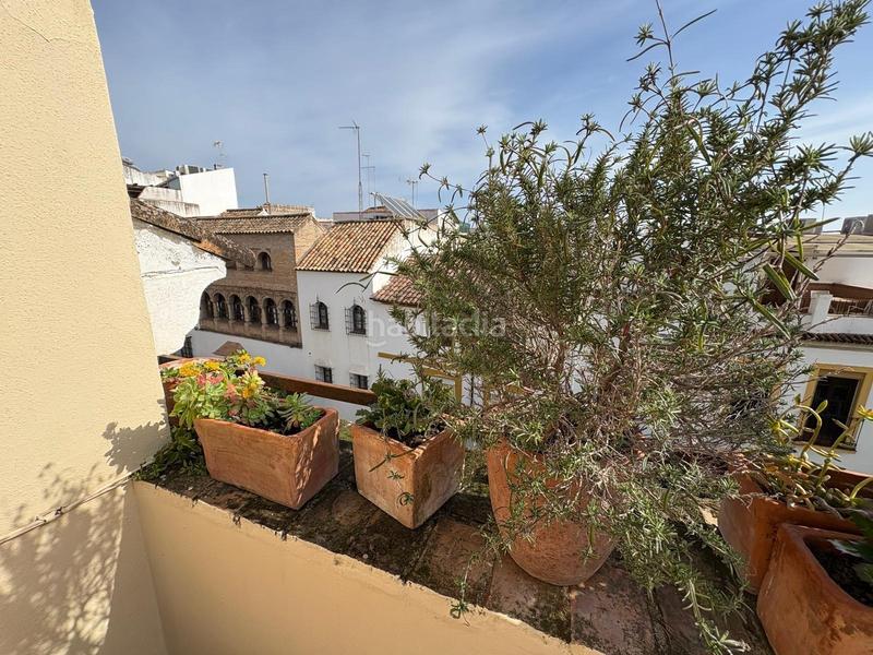 Foto ab53cb5b-b88d-4c6c-a33c-320997f9549c. Casa a calle san fernando 50 a Centro Córdoba