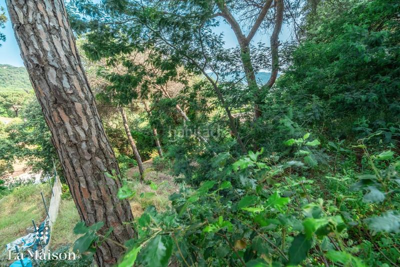 Foto 418ff2ff-f067-4688-83a6-c3ffc390f132. Terreno residencial en Can Massuet del Far Dosrius