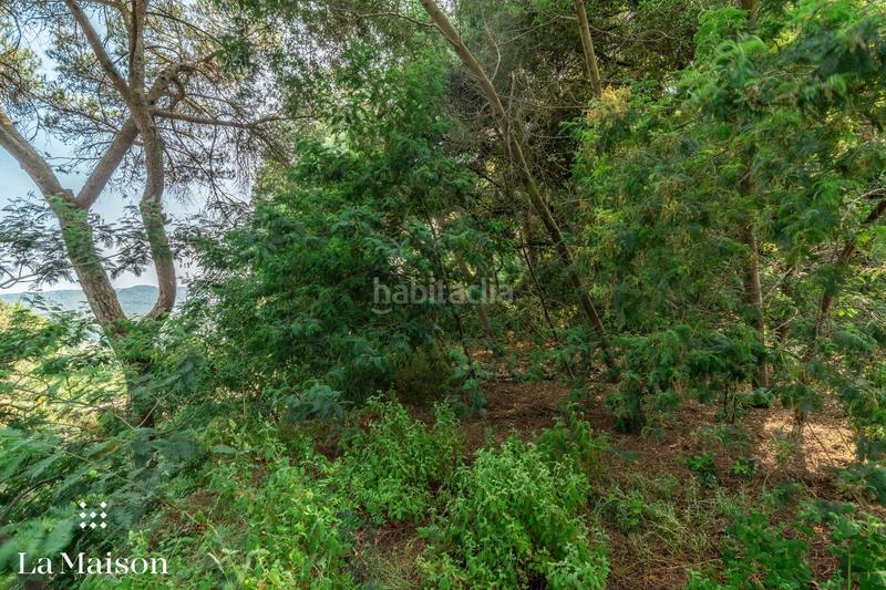 Foto b6061091-f563-43c4-8c24-31fd1f54735b. Terreno residencial en Can Massuet del Far Dosrius