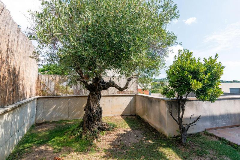 Foto d8b573df-2fa4-4edf-80a3-8a9e9a080cde. Casa a carrer de santa cecília 38 a Vallveric Mataró