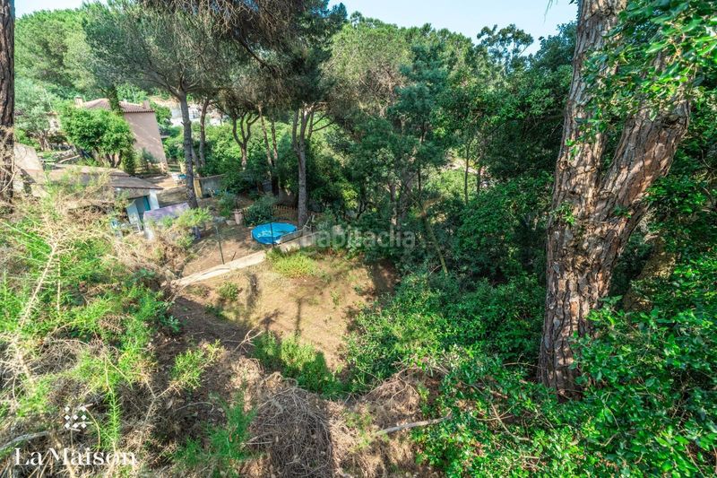 Foto 92ec609d-c118-43f6-9ff3-55e96c565b19. Terreny residencial a Can Massuet del Far Dosrius