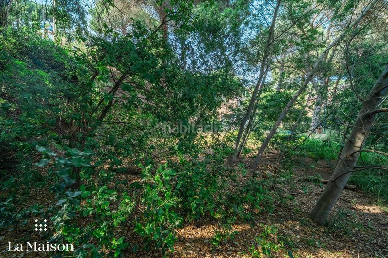 Foto b5df1eaf-89ad-408a-bd2a-d59d9856866e. Terreny residencial a Can Massuet del Far Dosrius