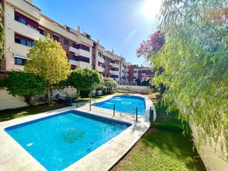 Pis a Pedro Salvador - Las Palmeritas. Piso en venta en sevilla