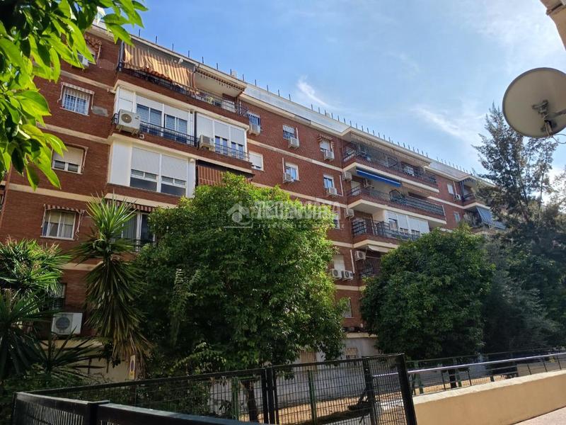 Foto a0561f9d-ff07-4f54-83c8-011571d2b56f. Pis a Bami - La Estrella Sevilla